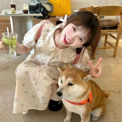 爱我请留言粤语